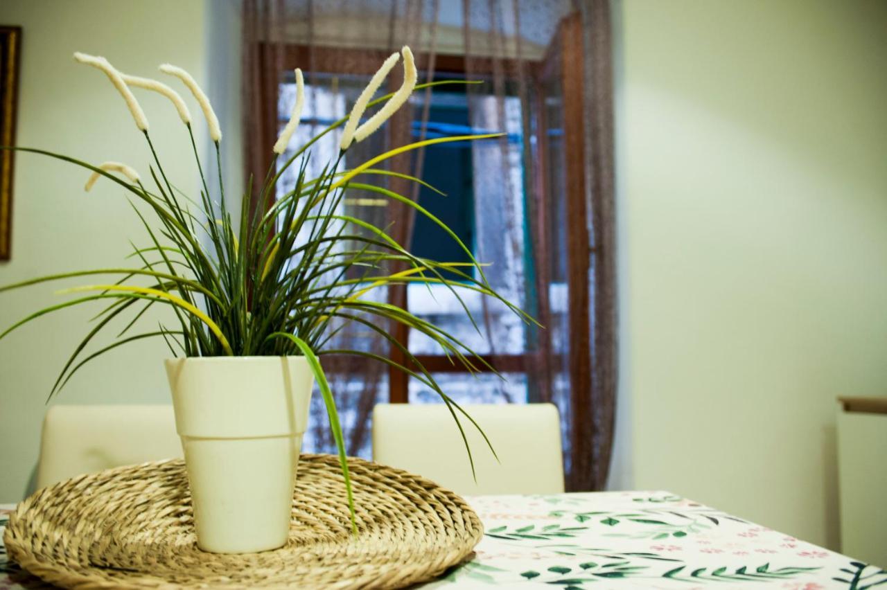 Apartman Flower Sibenik Exterior photo